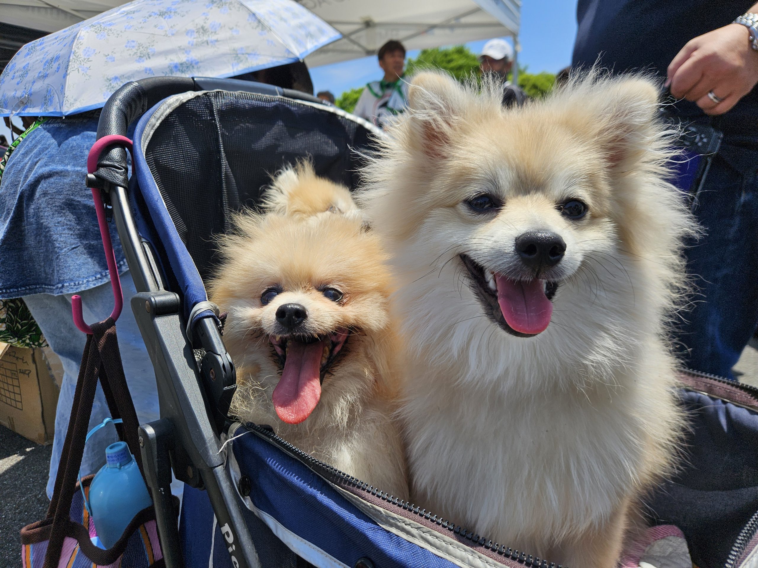 BMWわんさか集合でありがとうございました「箱根 Studie AG +