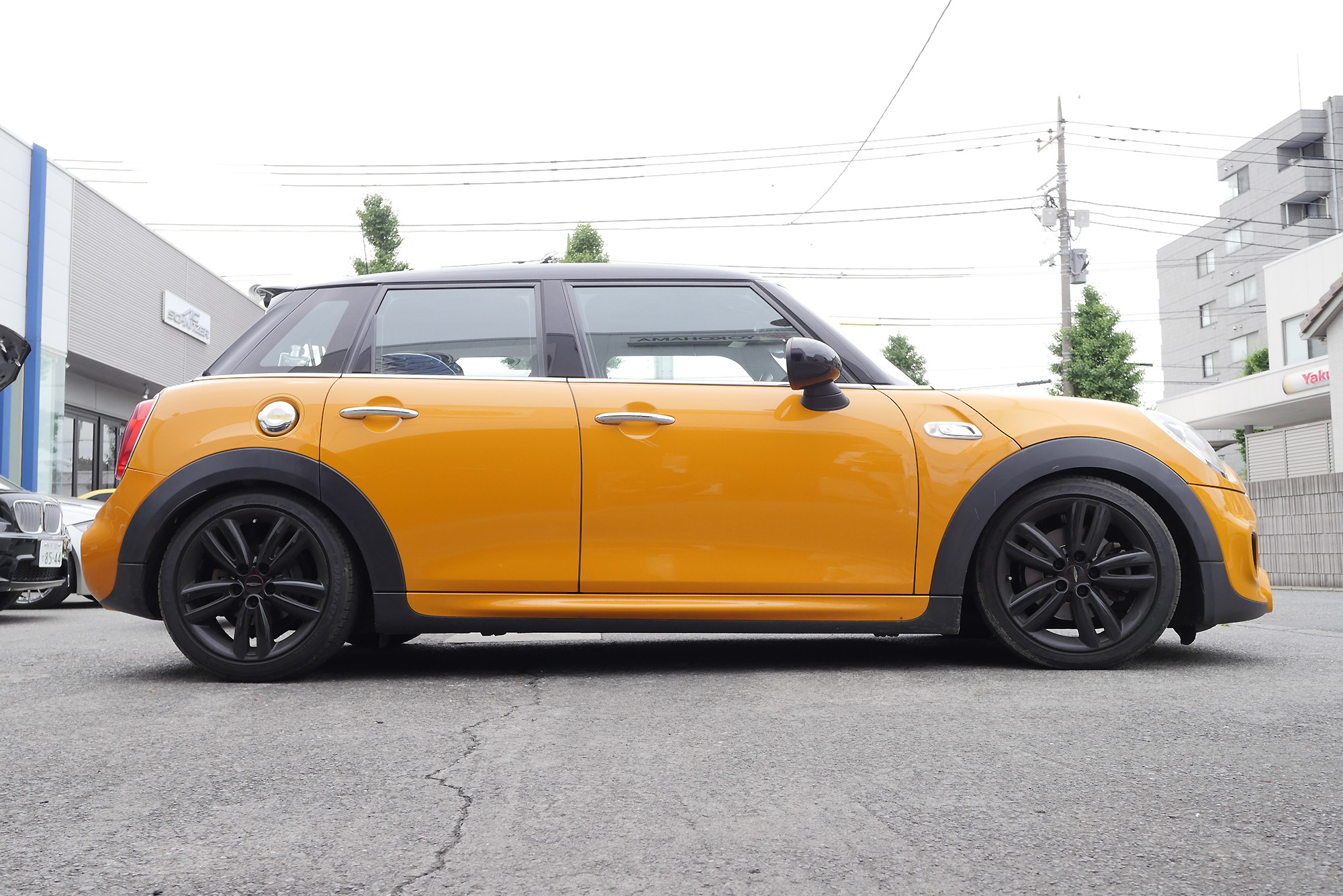 やっぱりイジって楽しい♪ まだまだ続きますMINI x MINI 大作戦！ | Studie[スタディ]