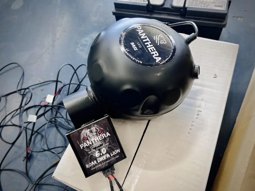 PANTHERA LEO ACTIVE SOUND