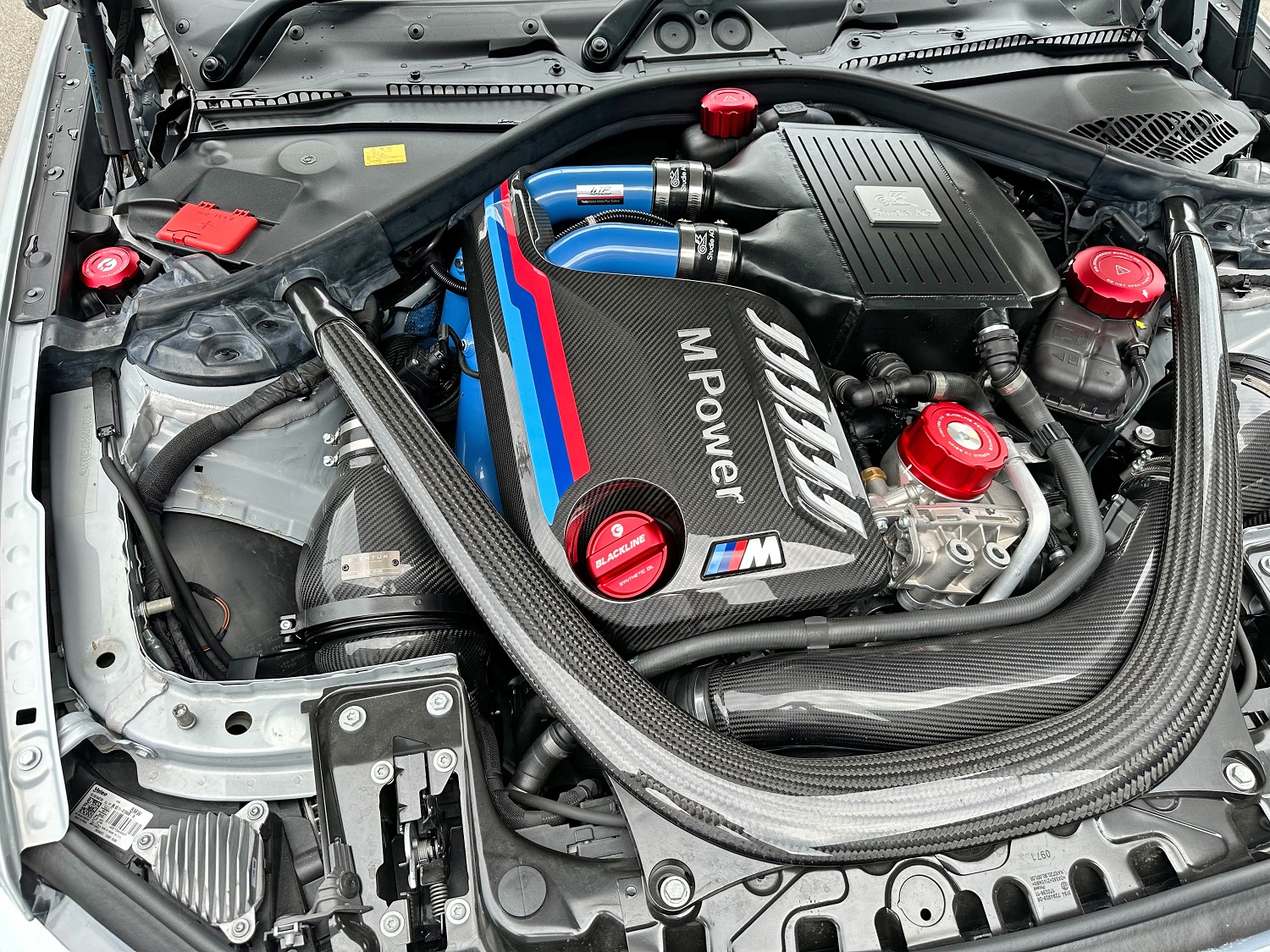 競馬予想システム ソフトインストールCD 横浜クライマックス】チンタイガーがコイントスとキックオフセレモニー