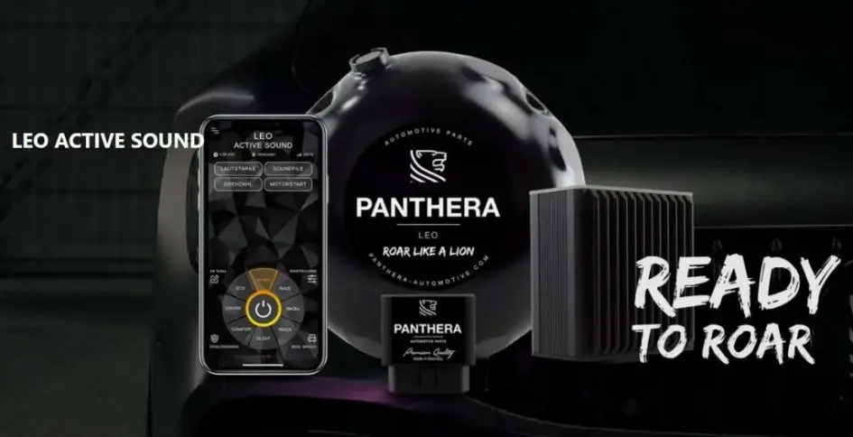 PANTHERA LEO ACTIVE SOUND | Studie[スタディ]