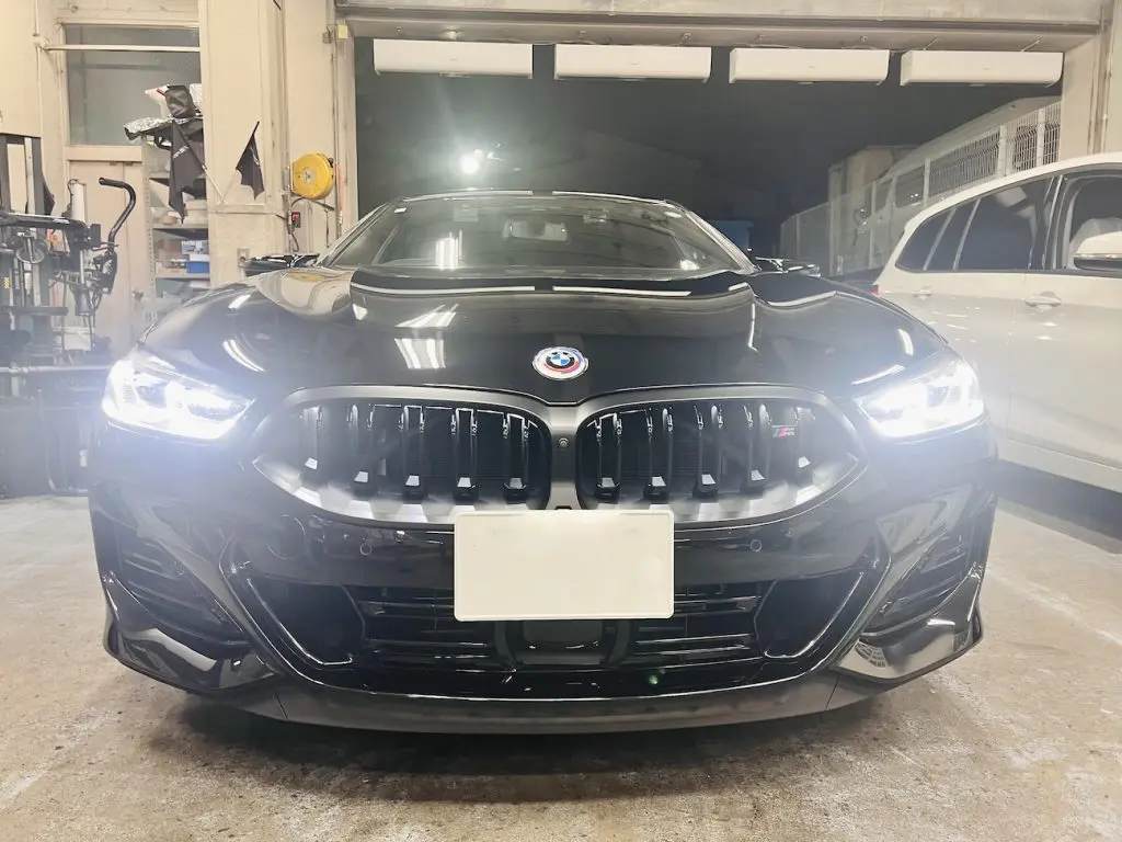 bmw_8series_blackgrill_bmw_studie_yokohama_IMG_1954.jpg