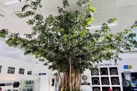 bmw_studie_nagoya_IMG_5071.jpg