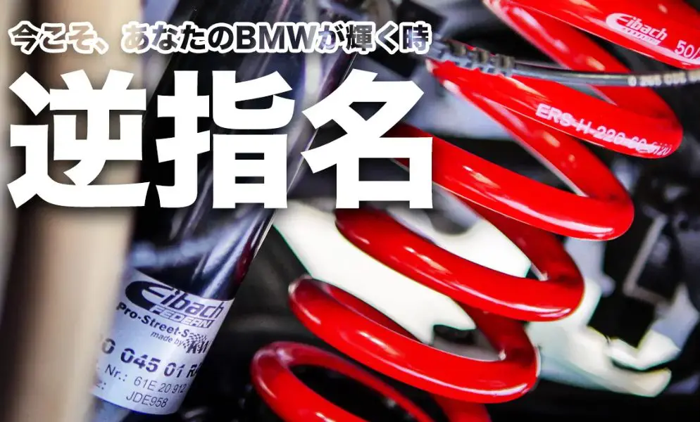 けんちゃん3号　　　　　　　　　リフトアップスプリング Eibach製 ebc_pro-lift-kit-1.jpg