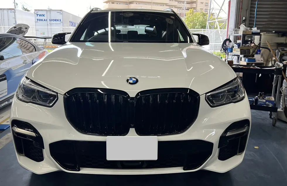 BMW 純正セリウムグレードアミラーカバー左右 G01 もらし G02 G05 G06
